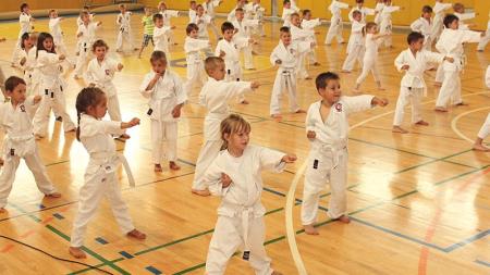 Karate klub Cerklje 